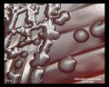 mucous klebsiella pneumoniae on blood agar